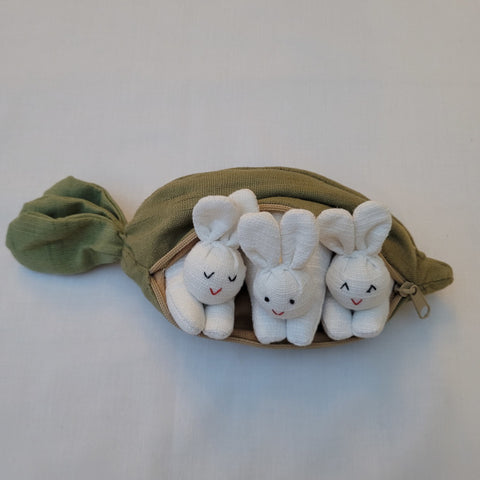 White Bunnies in a Green Carrot